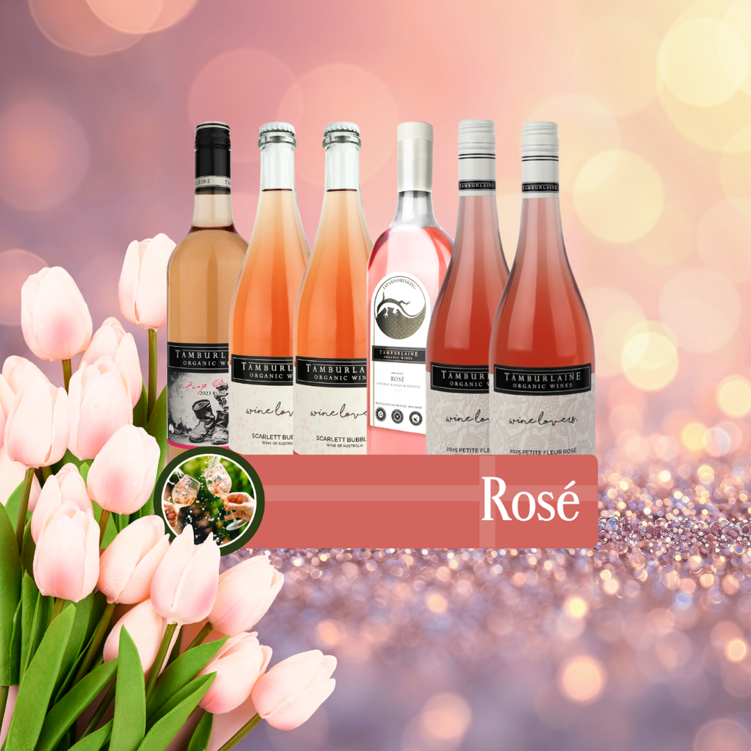 Rosé Bundle 6 pack