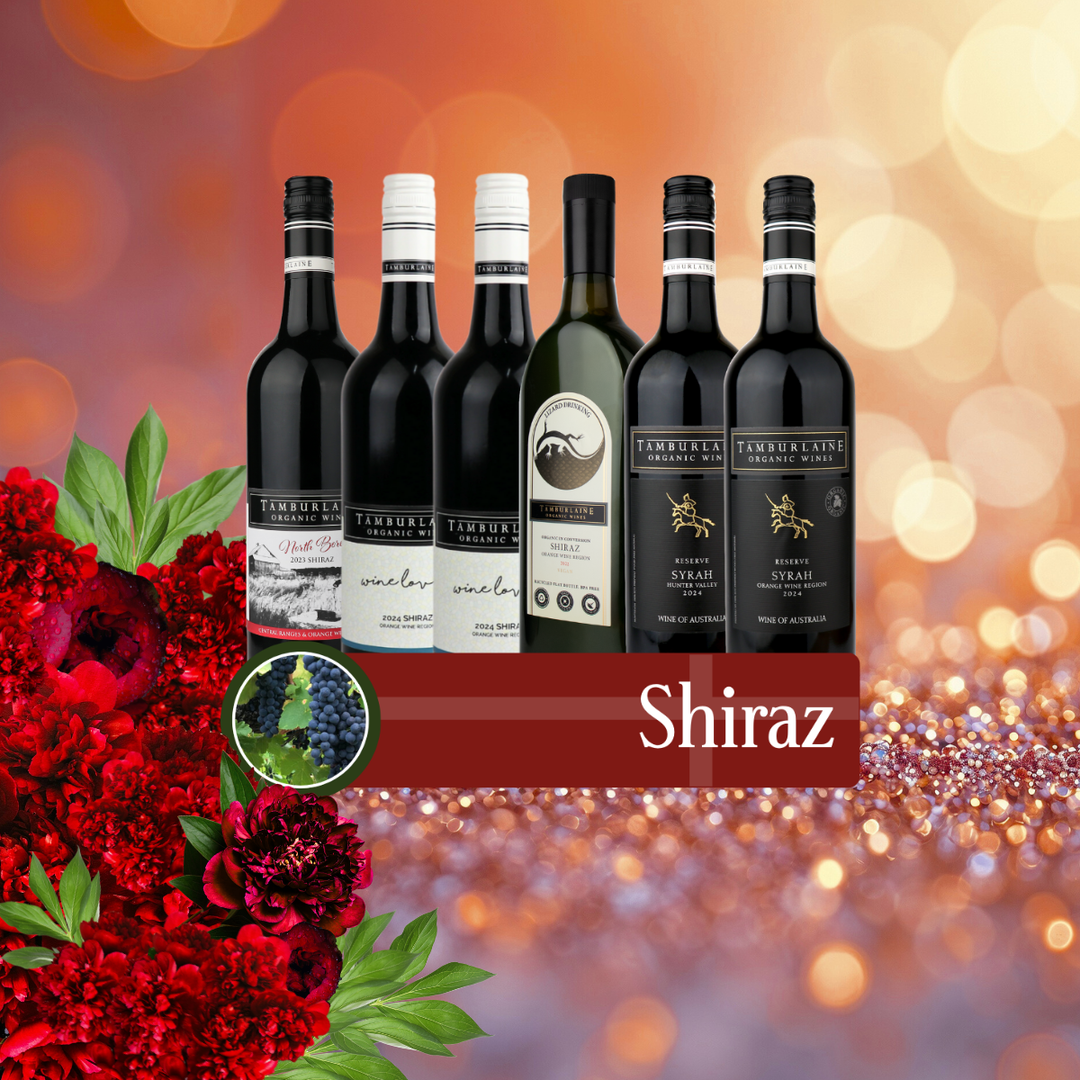 Shiraz Bundle 6 pack