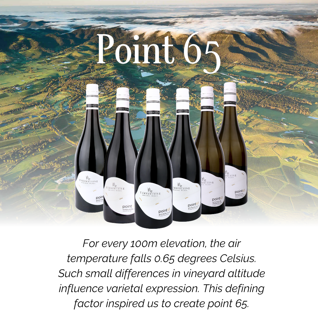 Point 65 Mixed 6 Pack