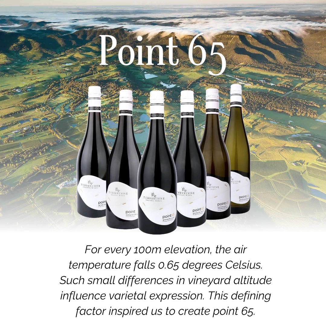 Point 65 Mixed 6 Pack