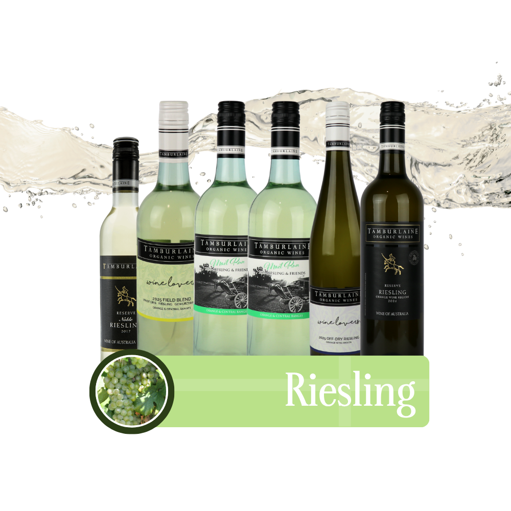 Riesling Bundle 6 pack