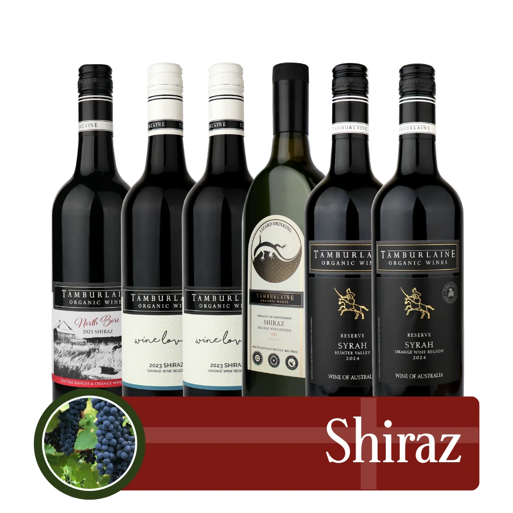 Shiraz Bundle 6 pack