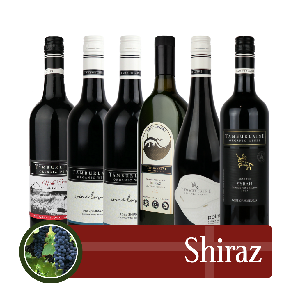 Shiraz Bundle 6 pack