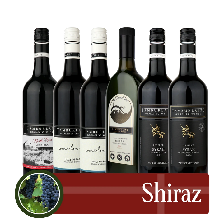 Shiraz Bundle 6 pack