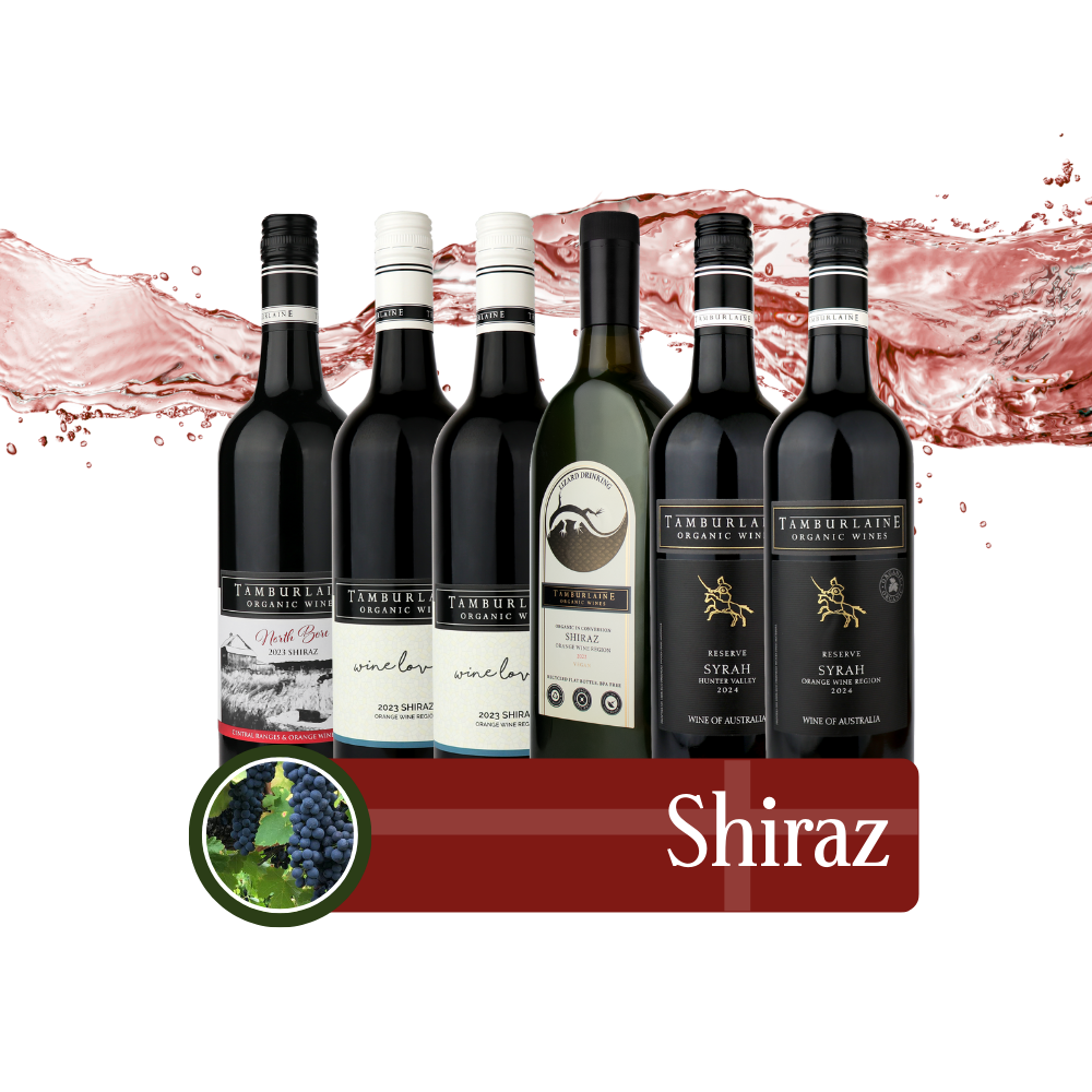 Shiraz Bundle 6 pack