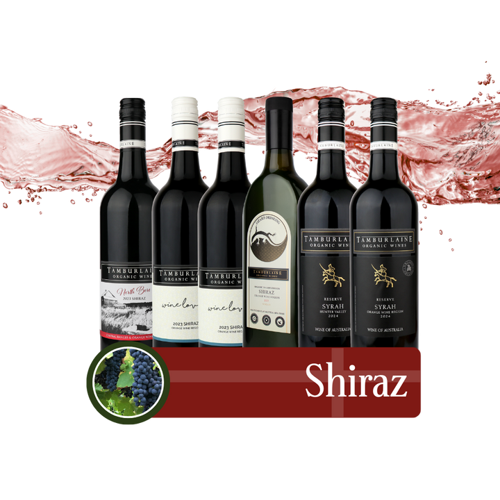 Shiraz Bundle 6 pack