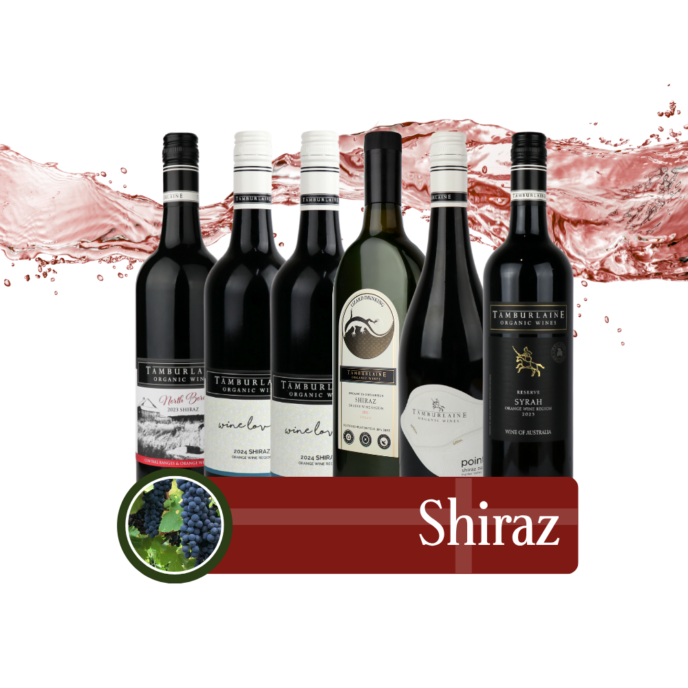 Shiraz Bundle 6 pack