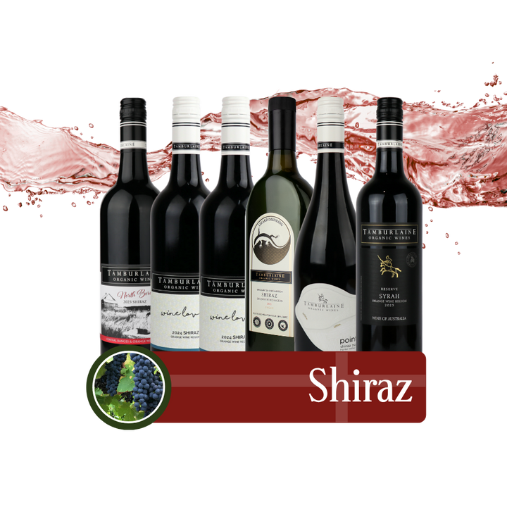 Shiraz Bundle 6 pack