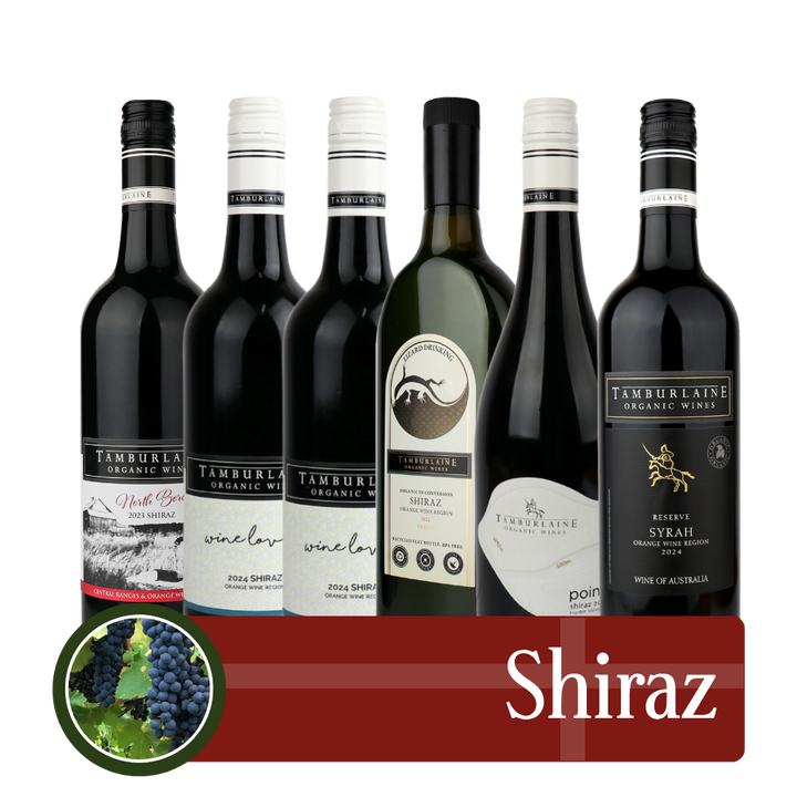 Shiraz Bundle 6 pack