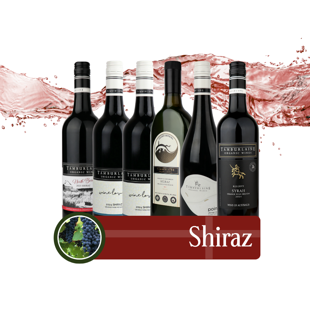 Shiraz Bundle 6 pack