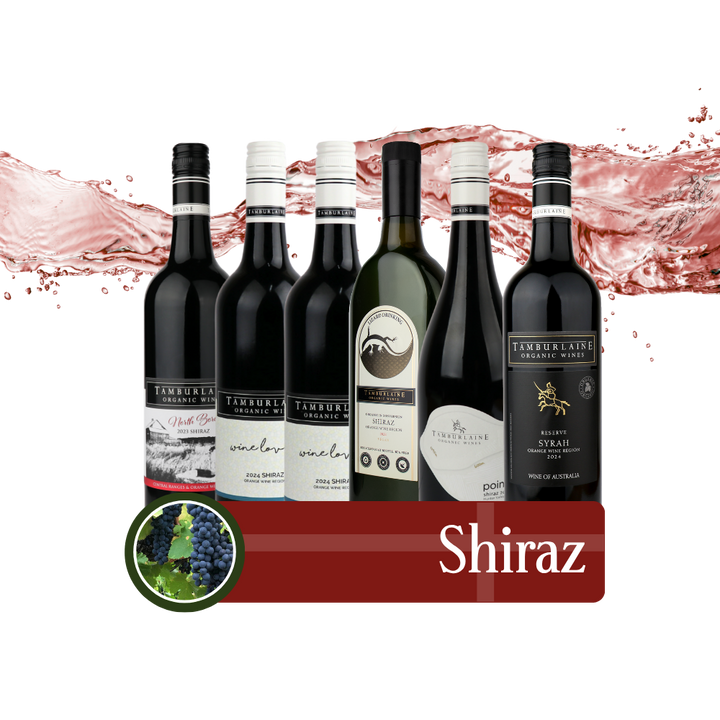 Shiraz Bundle 6 pack