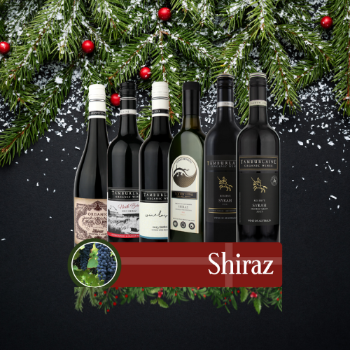 Shiraz Bundle 6 pack