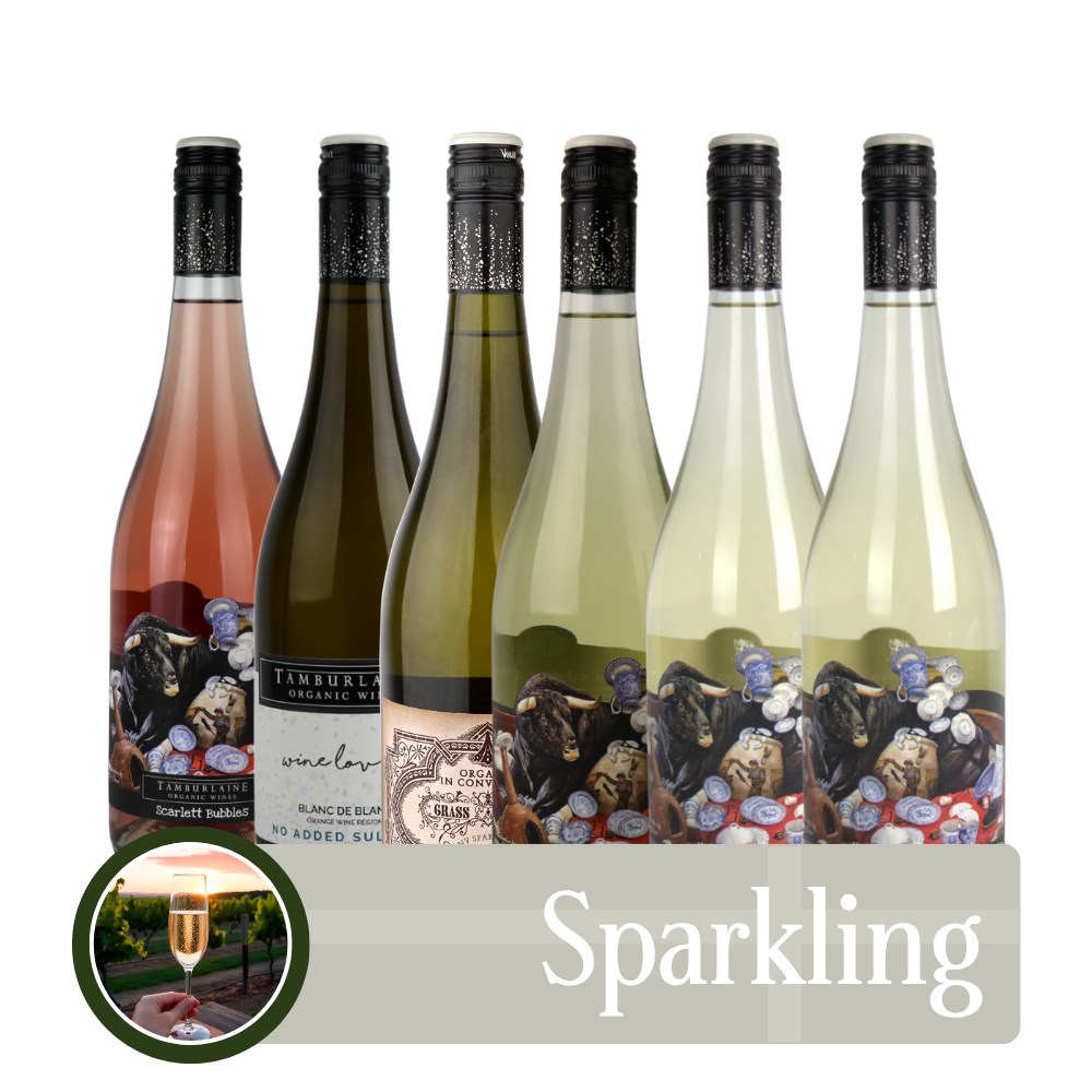 Sparkling Bundle 6 pack