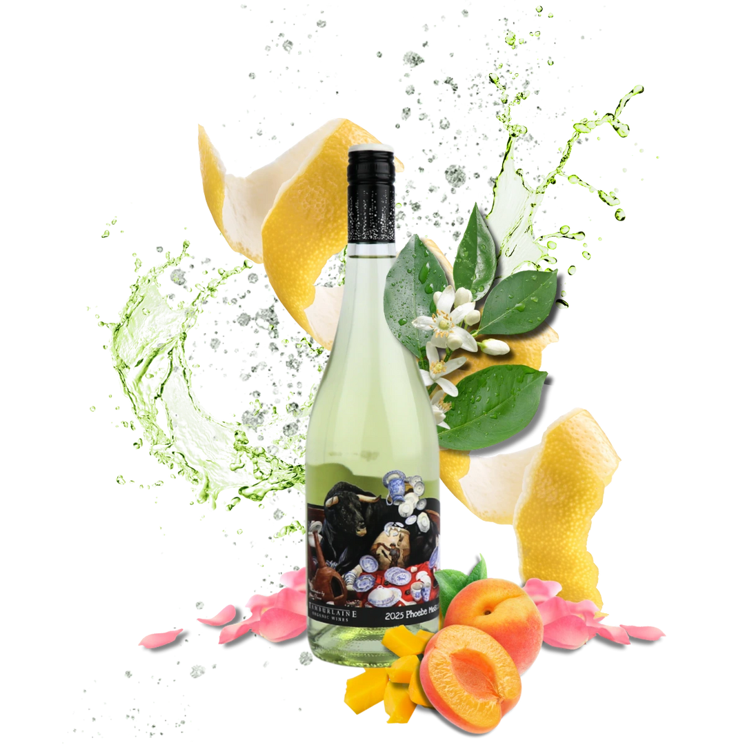 2025 Bull In A China Shop Phoebe Moscato