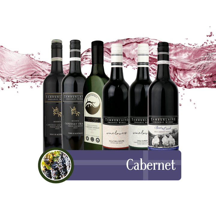 Cabernet Bundle 6 pack