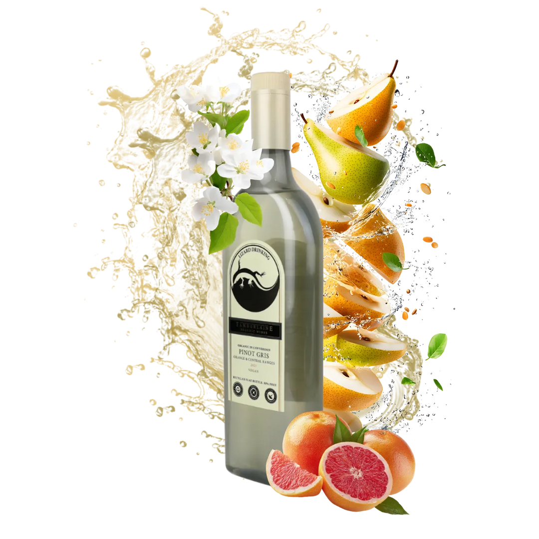 2023 Lizard Drinking Pinot Gris (rPET Bottle)