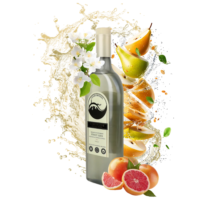 2023 Lizard Drinking Pinot Gris (rPET Bottle)