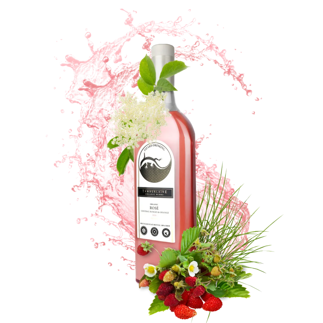 2024 Lizard Drinking Rosé (rPET Bottle)