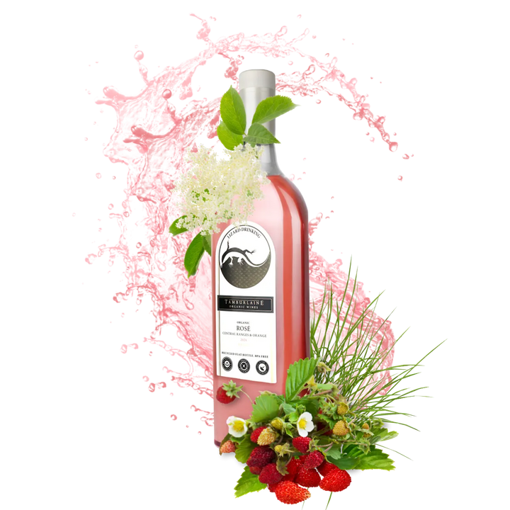 2024 Lizard Drinking Rosé (rPET Bottle)