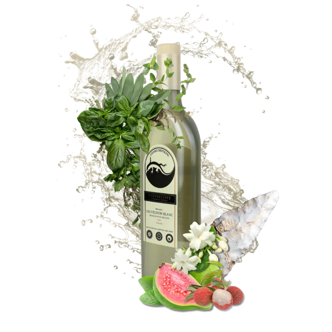 2024 Lizard Drinking Sauvignon Blanc (rPET Bottle)