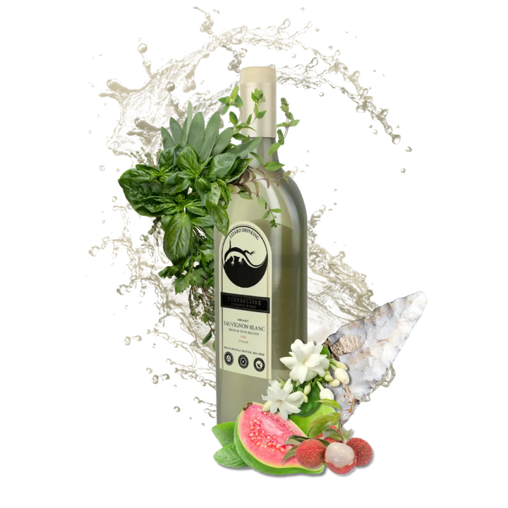 2024 Lizard Drinking Sauvignon Blanc (rPET Bottle)