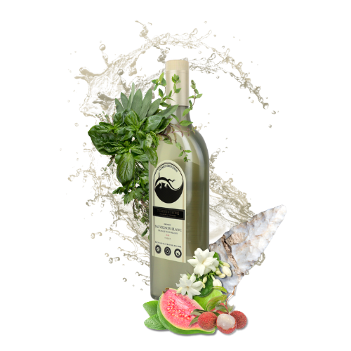 2025 Lizard Drinking Sauvignon Blanc (rPET Bottle)