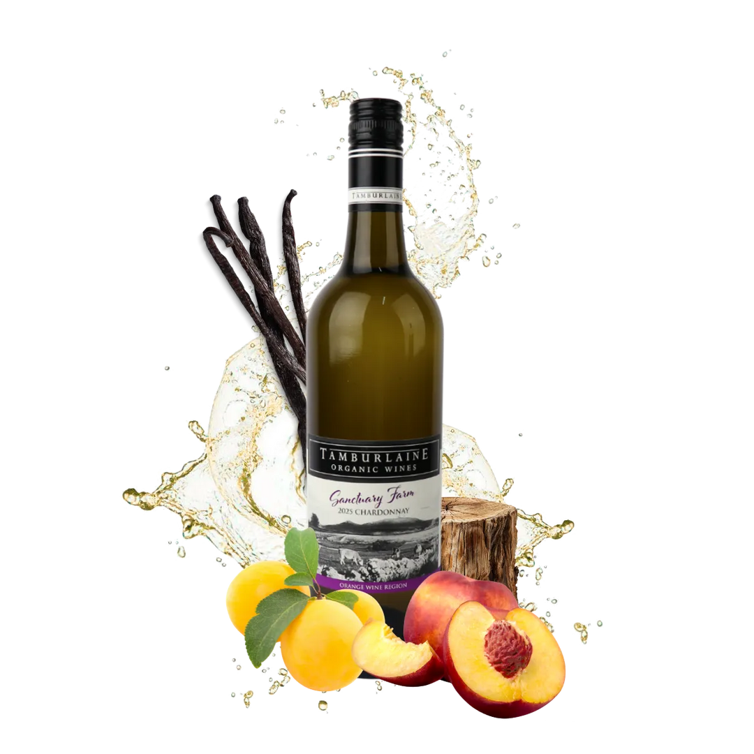 2025 Mark Davidson Signature Series Chardonnay