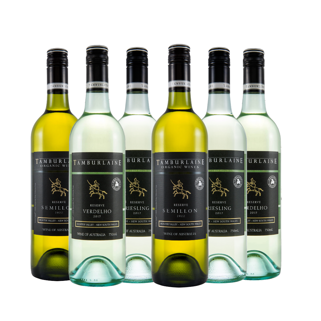 Stellar Cellar Unoaked White 6-pack