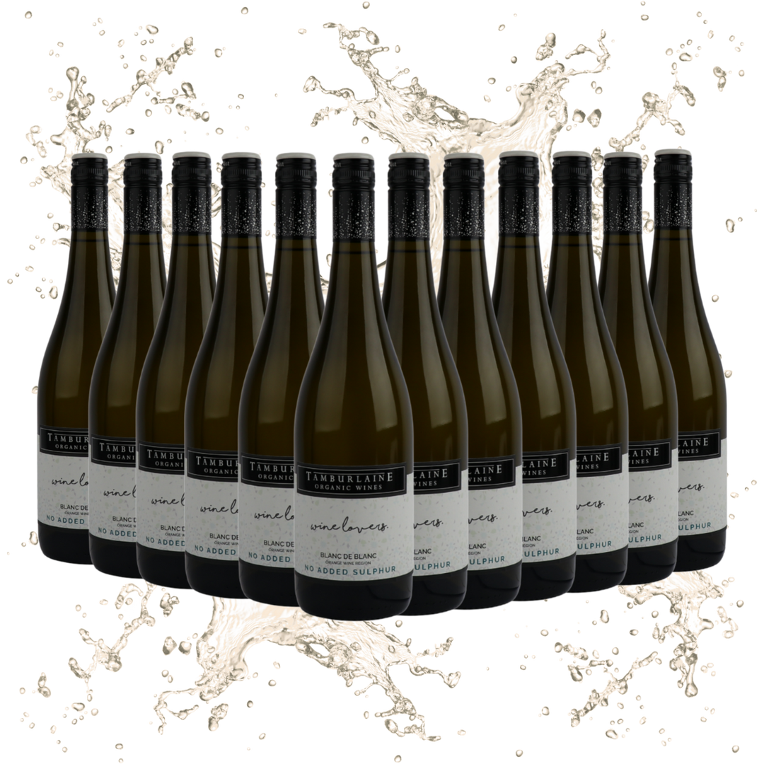 Wine Lovers No Added Sulphur Blanc de Blanc Sparkling Dozen