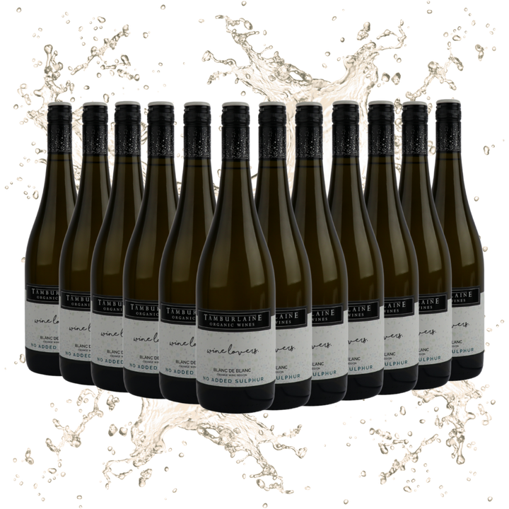 Wine Lovers No Added Sulphur Blanc de Blanc Sparkling Dozen
