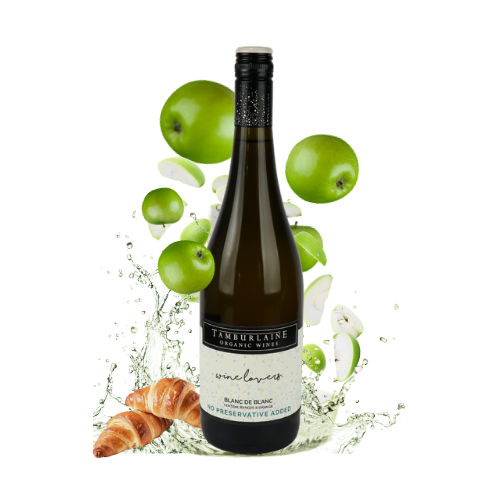 Wine Lovers No Preservative Added Blanc de Blanc Sparkling