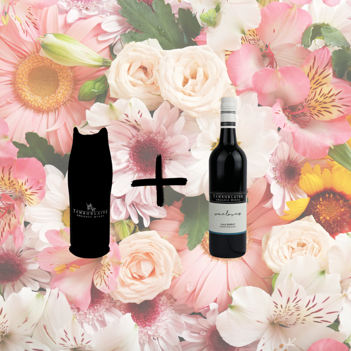 Wine Lovers Wine with Bottle Cooler Gift Pack