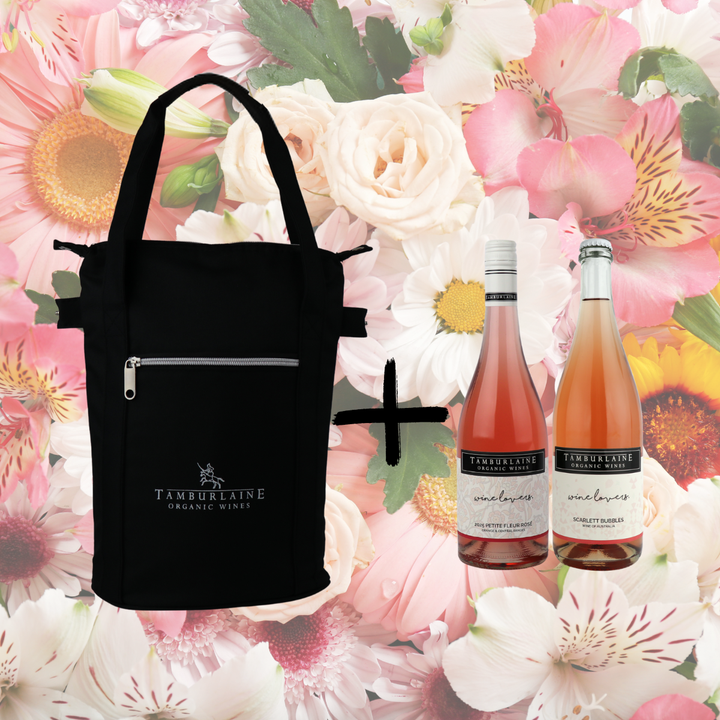 Wine Lovers Two Bottle Gift Pack