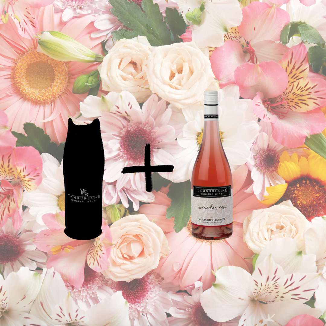 Wine Lovers Wine with Bottle Cooler Gift Pack