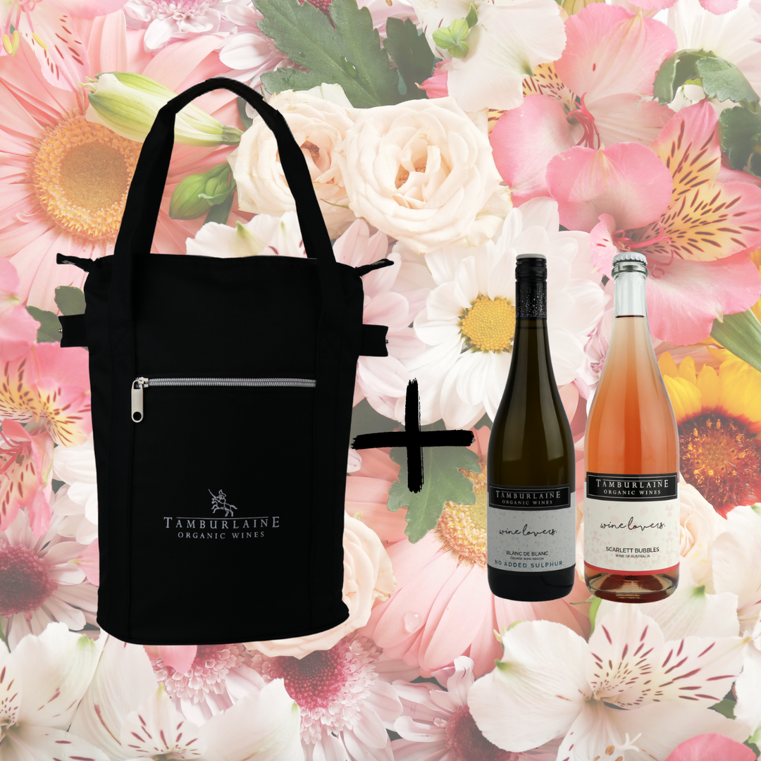 Wine Lovers Two Bottle Gift Pack