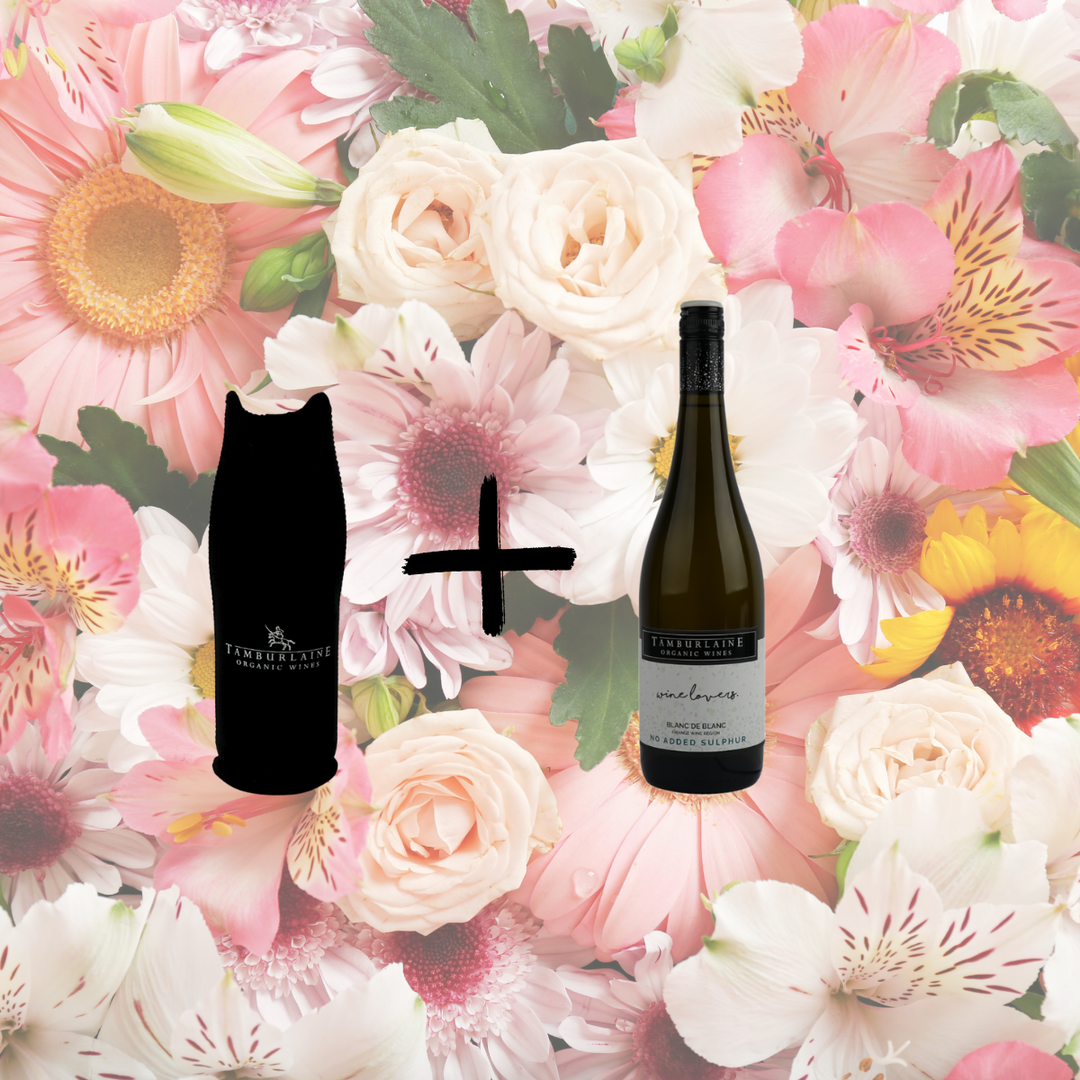 Wine Lovers Wine with Bottle Cooler Gift Pack