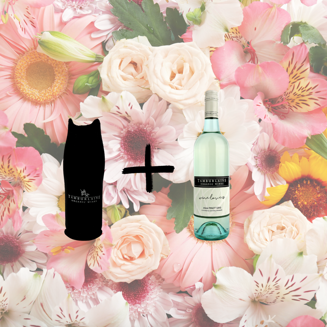 Wine Lovers Wine with Bottle Cooler Gift Pack