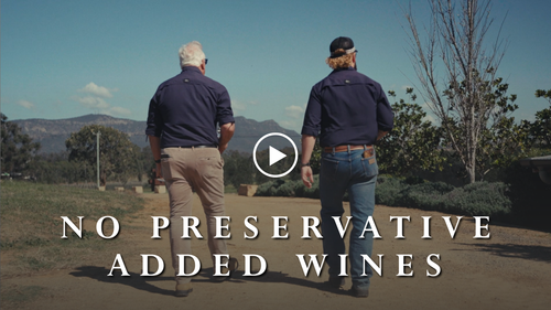 No Preservative Added Wines - What Are They?  
