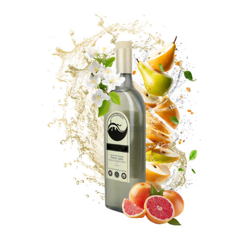 2025 Lizard Drinking Pinot Gris (rPET Bottle)